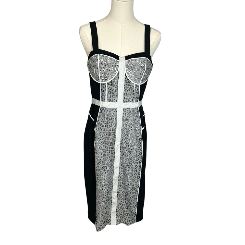 Rebecca Minkoff Silver Black Long Clarissa Dress Bustier Sz 10 Career Lace Black